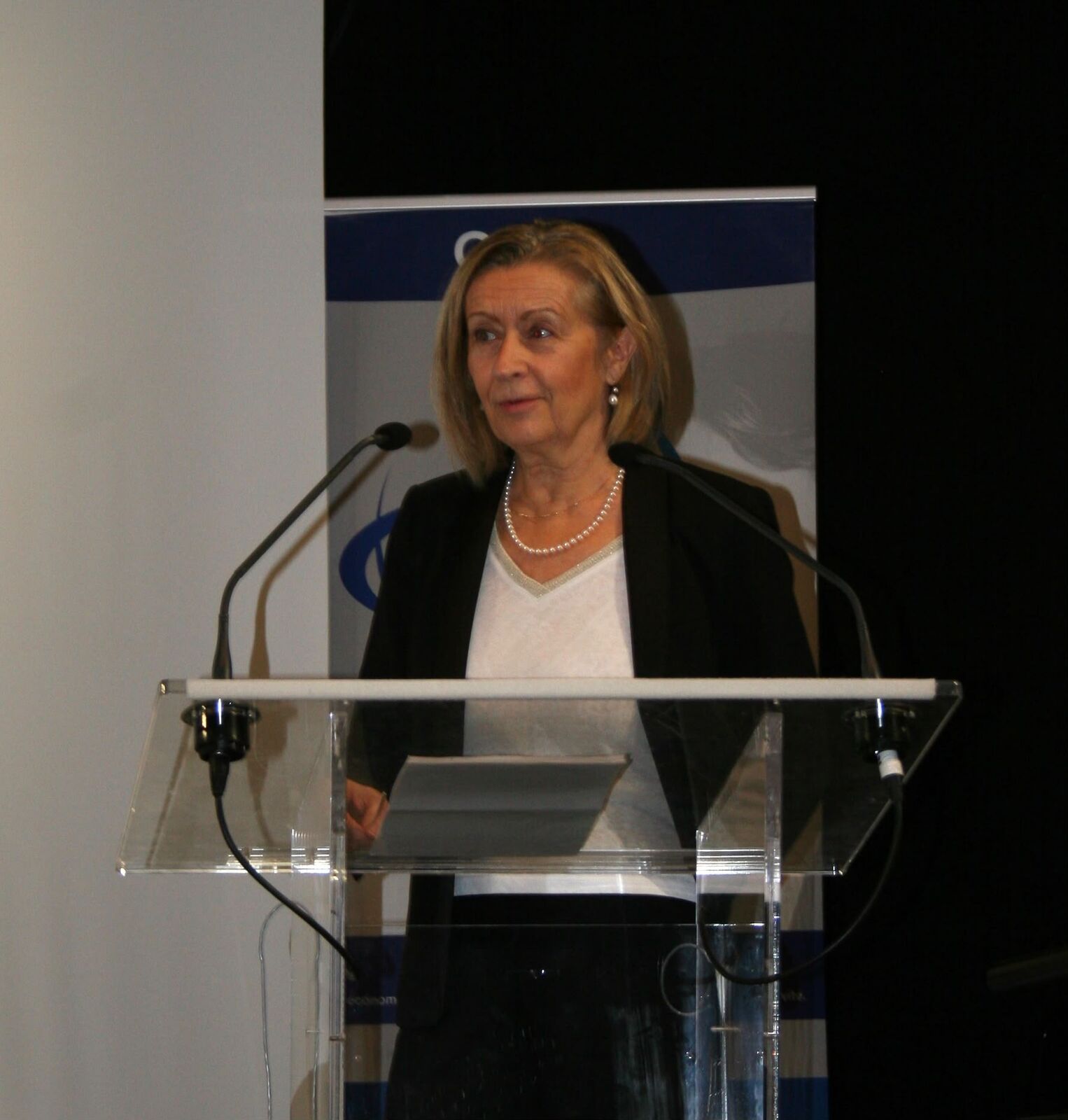 Une intervenante à la tribune